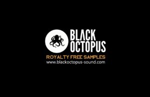 black-oct-royalty-free-samples