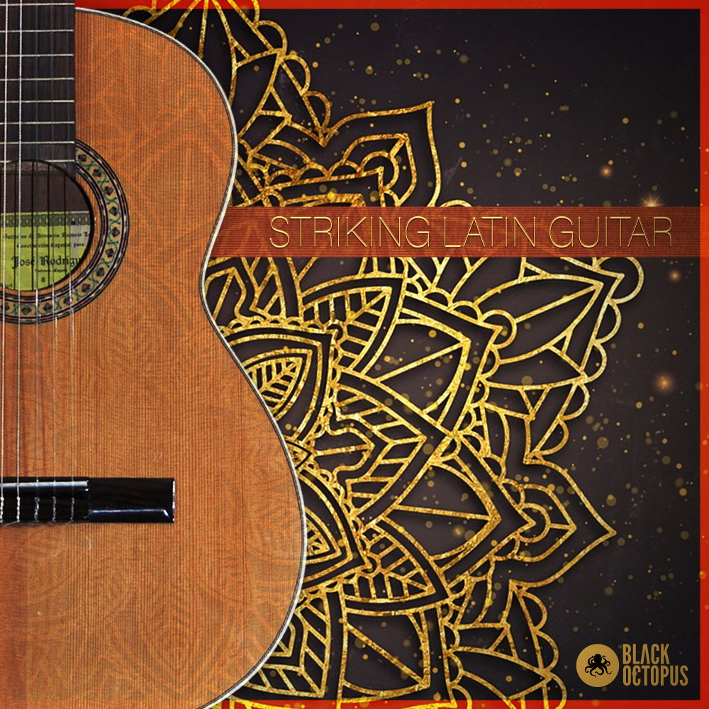 Black Octopus Sound | Striking Latin Guitar