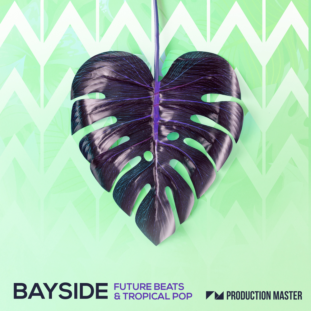 Production Master | Bayside - Future Beats & Tropical Pop